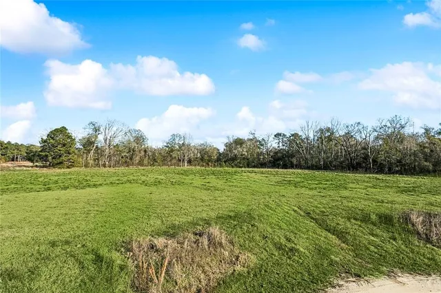 $192,000 | 12576 Goldentop Drive, Covington, LA 70433