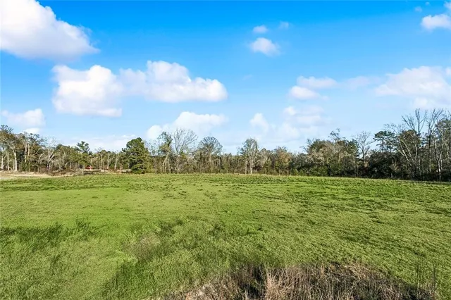 $192,000 | 12576 Goldentop Drive, Covington, LA 70433