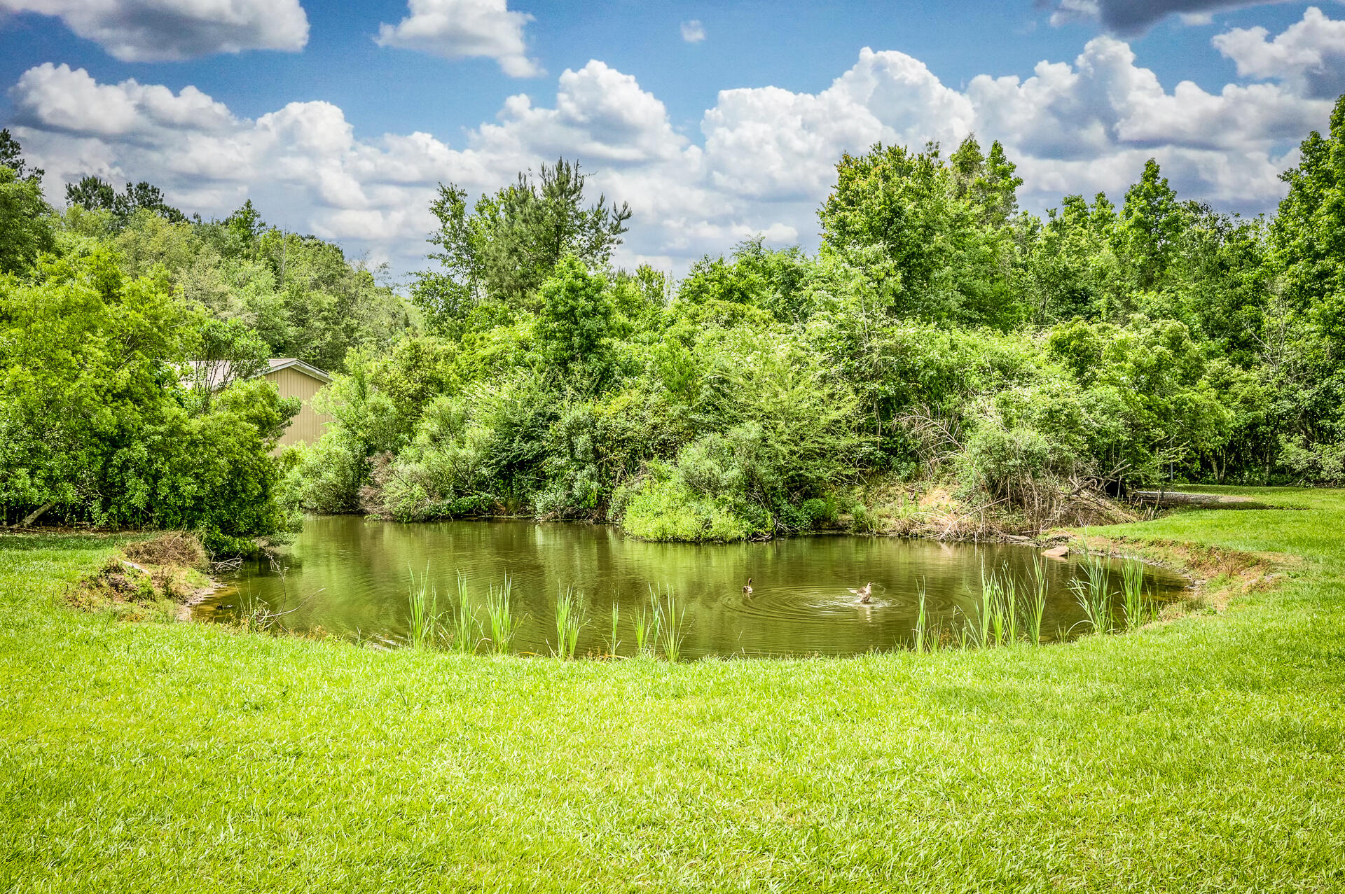 3942 Possum Corner Road Walterboro, SC 29488 - Photo 29 of 30 3942PossumCorner-29