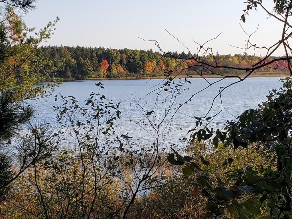Lot 2 Eagle Lake Road Danbury, WI 54830 - Photo 1 of 1 Gallery Image 1