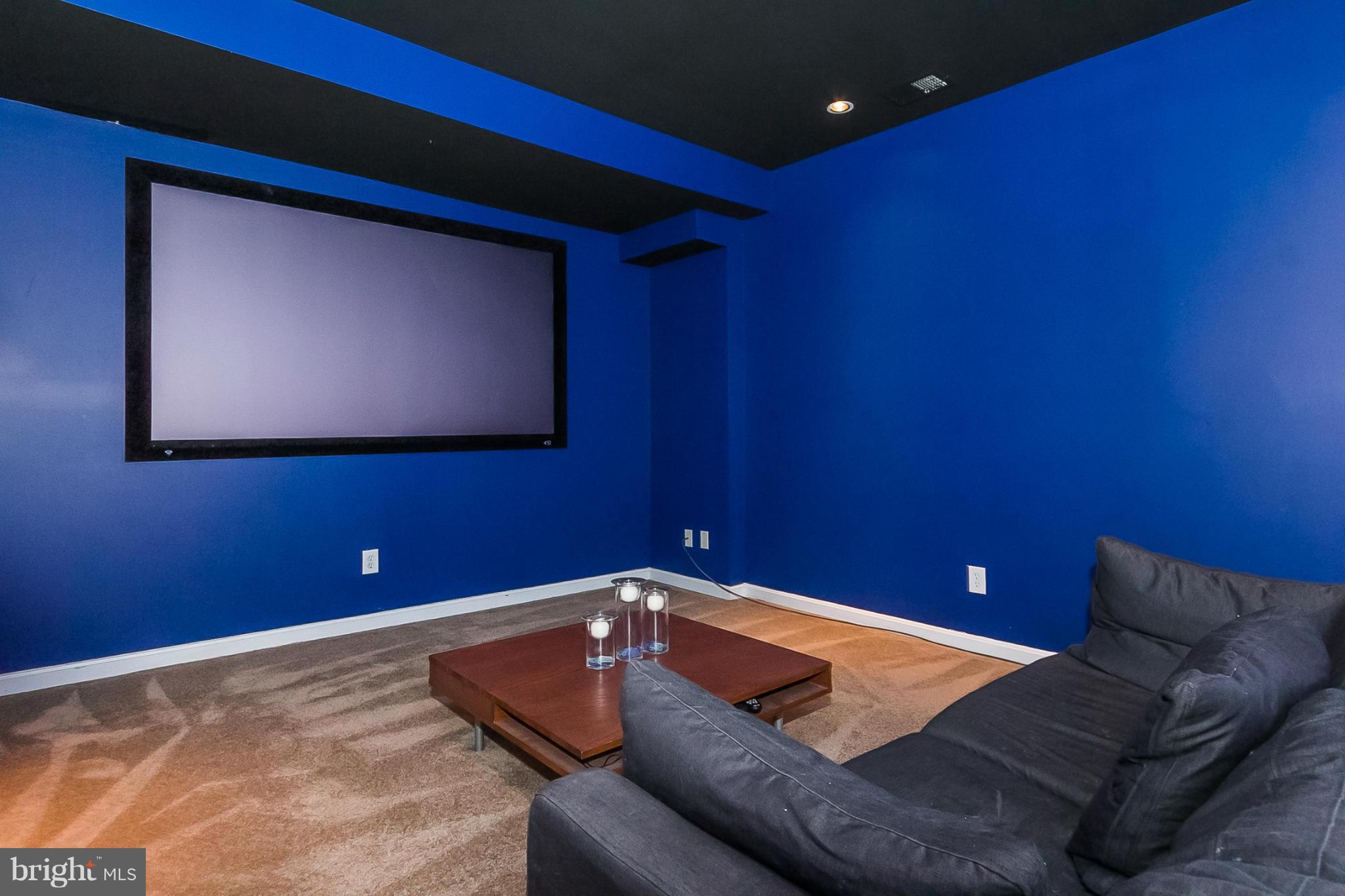1213 Emmaus Road Woodbine, MD 21797 - Photo 18 of 30 Theater Room