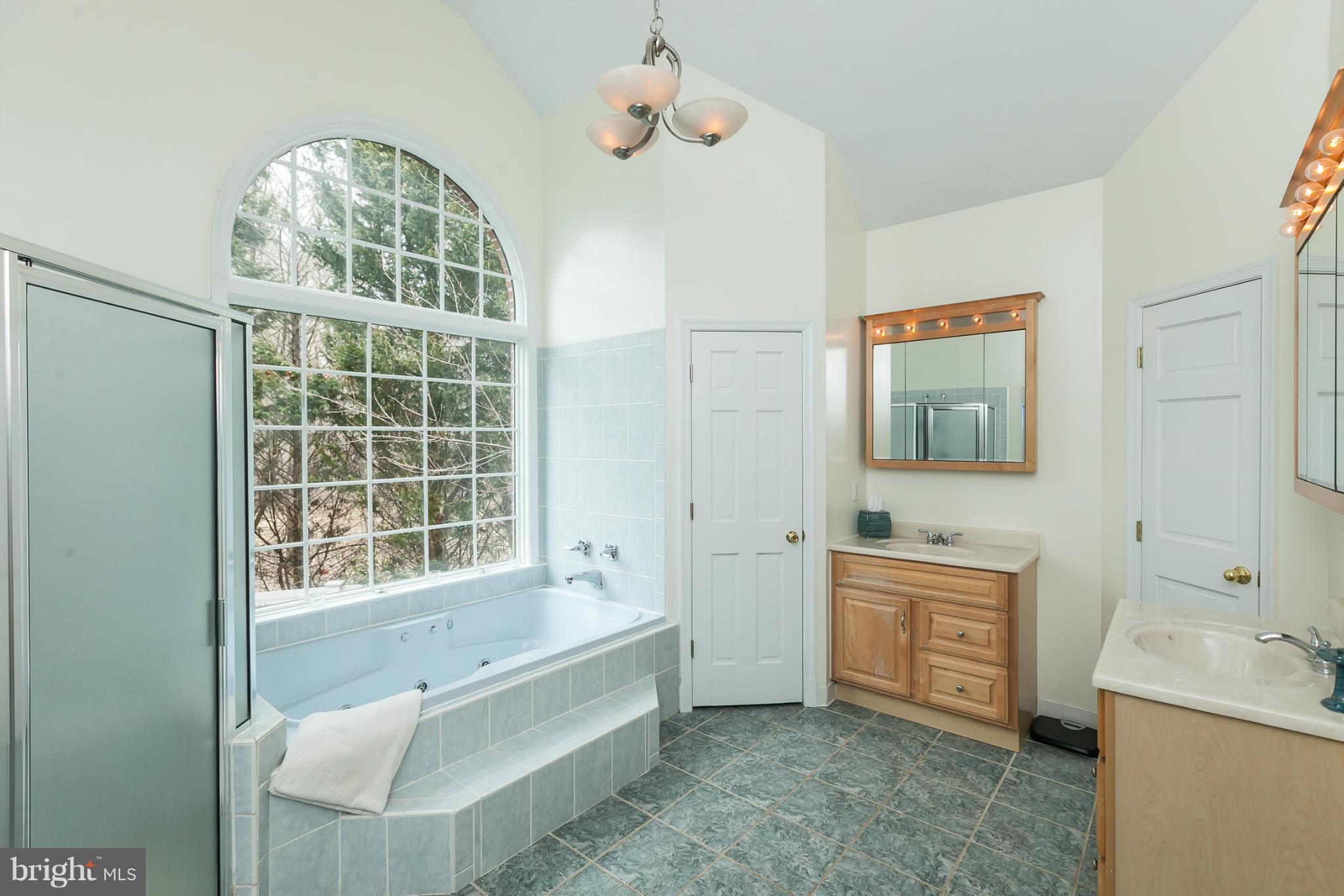 1213 Emmaus Road Woodbine, MD 21797 - Photo 21 of 30 Bath (Master)