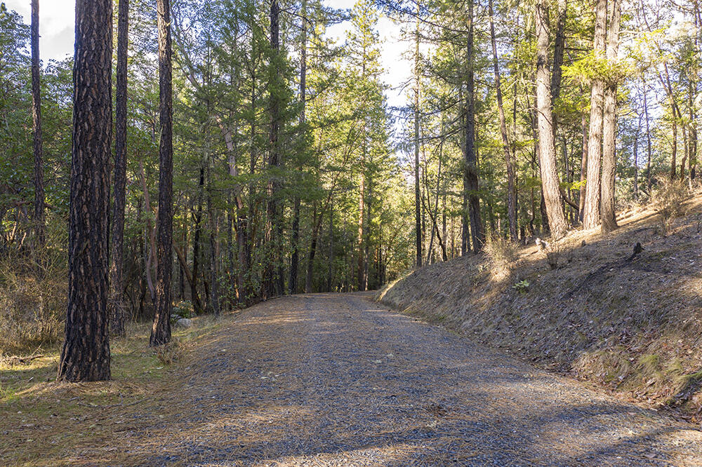 1700 Tetherow Road Williams, OR 97544 - Photo 5 of 27 5
