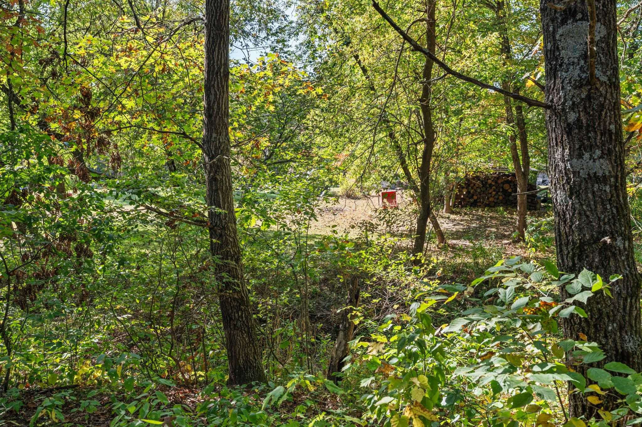 237 Oakbrook Drive Wisconsin Dells, WI 53965 - Photo 64 of 85