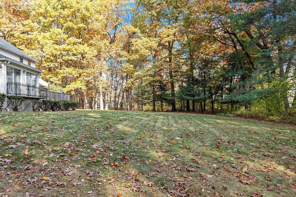 426 River Road Andover, MA 01810 - Photo 6 of 42 a view of a yard with a tree