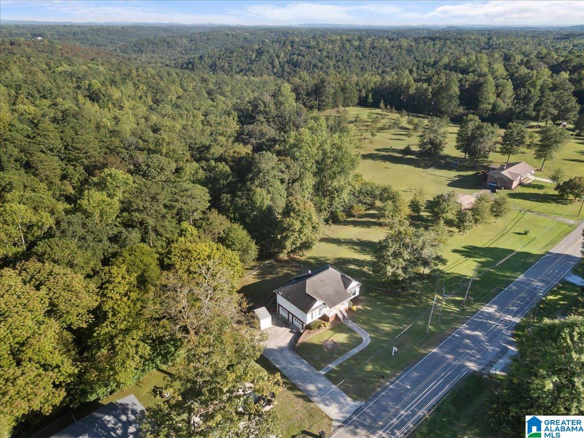 3641 Mt Olive Road Mount Olive, AL 35117 - Photo 31 of 35