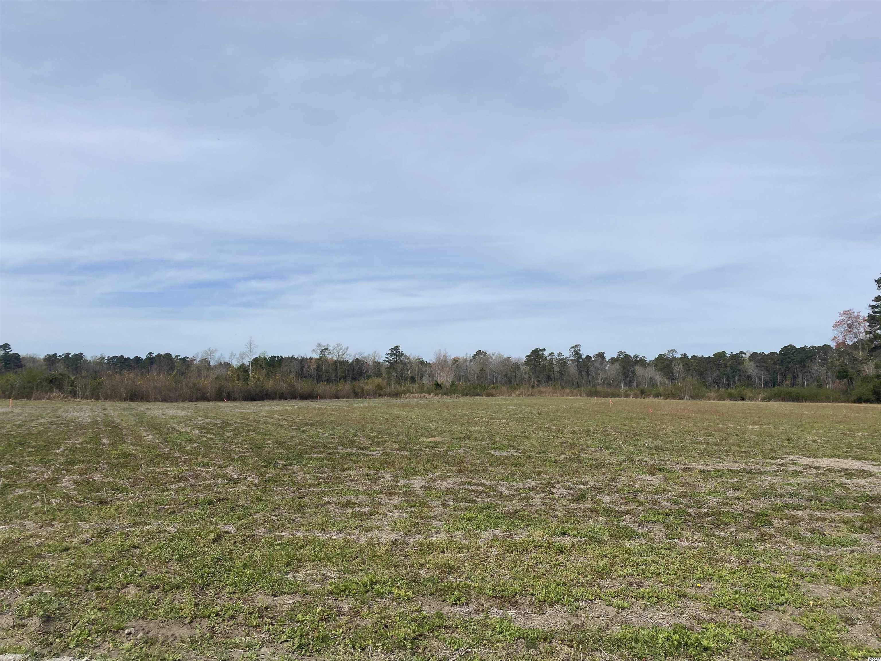 Tbd Dove Road Loris, SC 29569 - Photo 1 of 4 Gallery Image 1