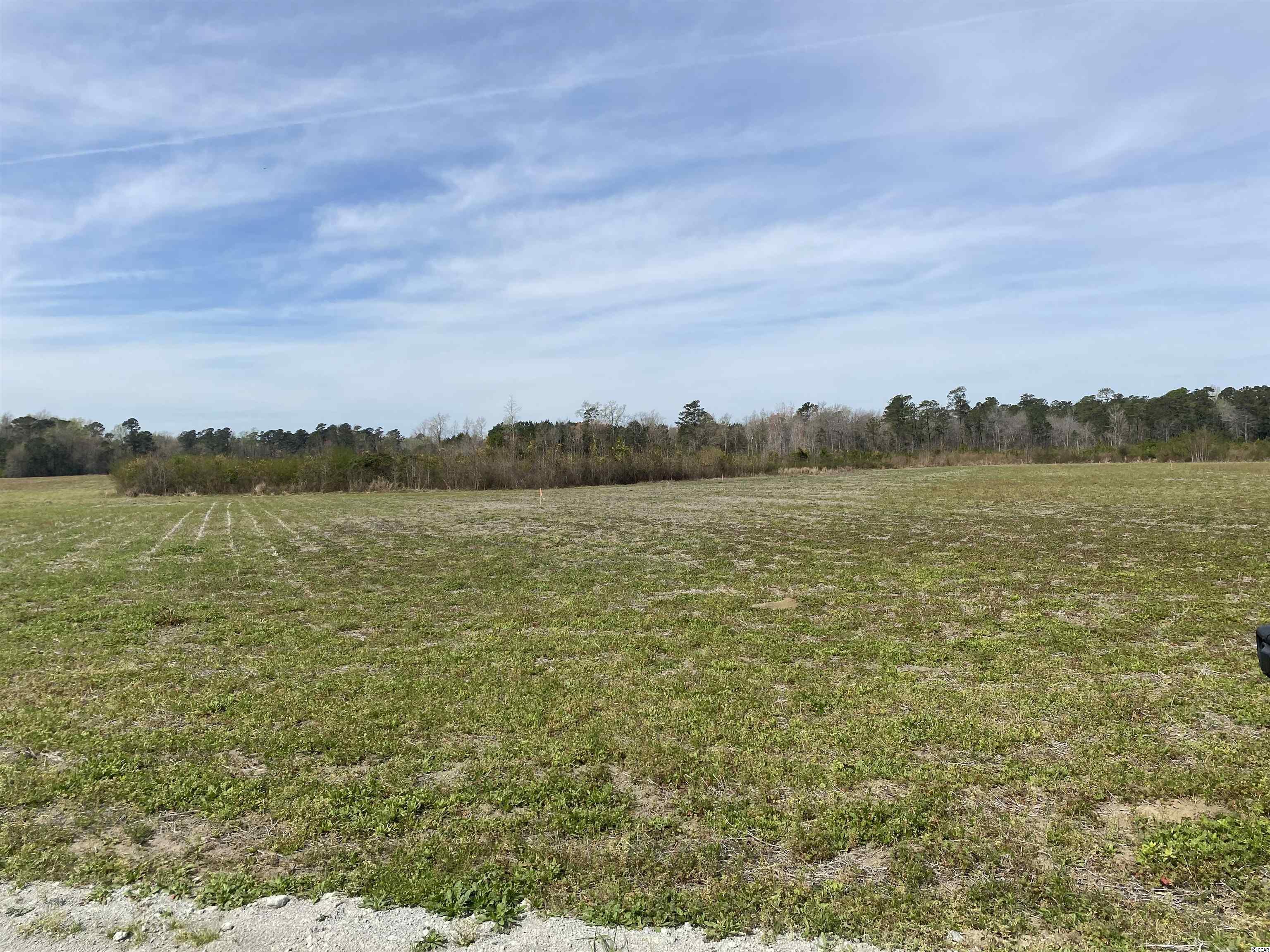 Tbd Dove Road Loris, SC 29569 - Photo 3 of 4 Gallery Image 3