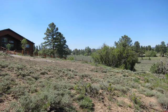 a view of a field with trees in the background