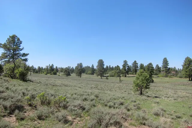 a view of a lake from a yard