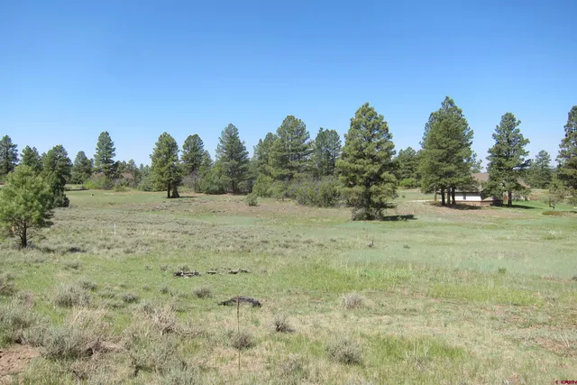 a big yard with lots of green space