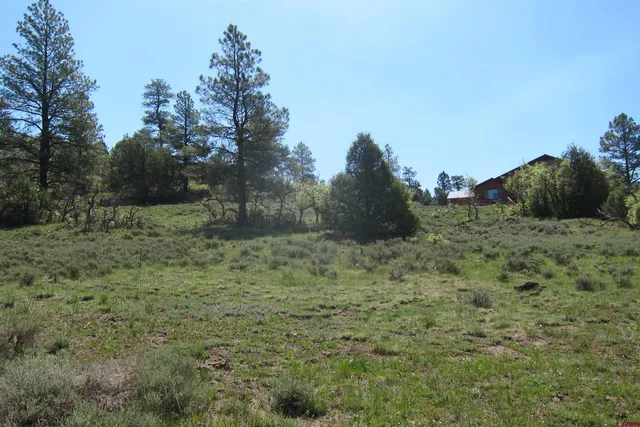a view of a field with trees in the background