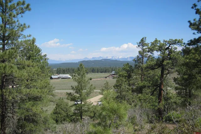 a view of a lake and green valley