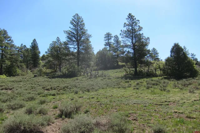 a view of a lake with green space