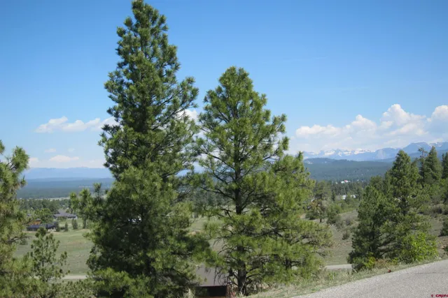 an aerial view of residential house with outdoor space and trees all around