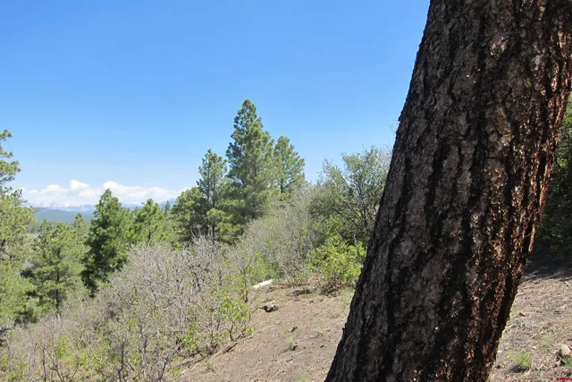 $189,900 | 295 Sage Circle, Pagosa Springs, CO 81147