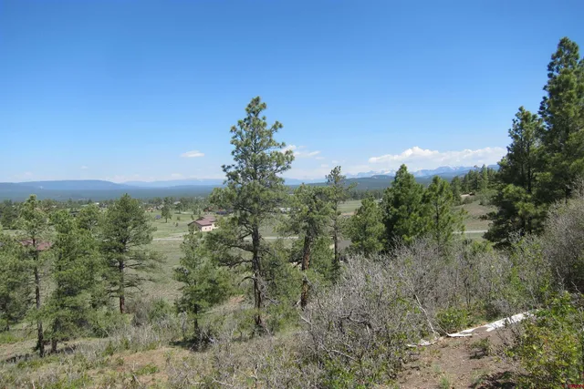 a view of lake with green space