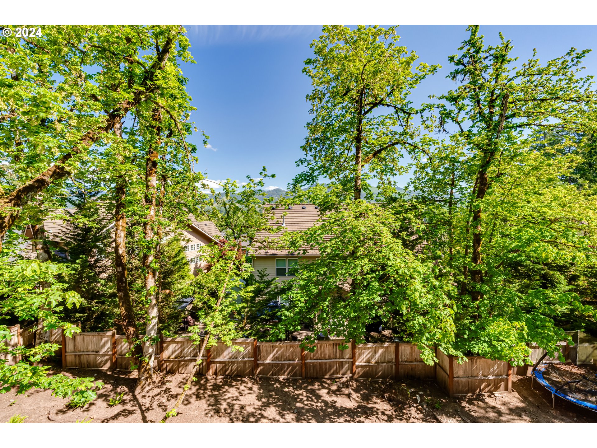 6362 Forest Ridge Drive Springfield, OR 97478 - Photo 40 of 44 a backyard of a house with lots of green space