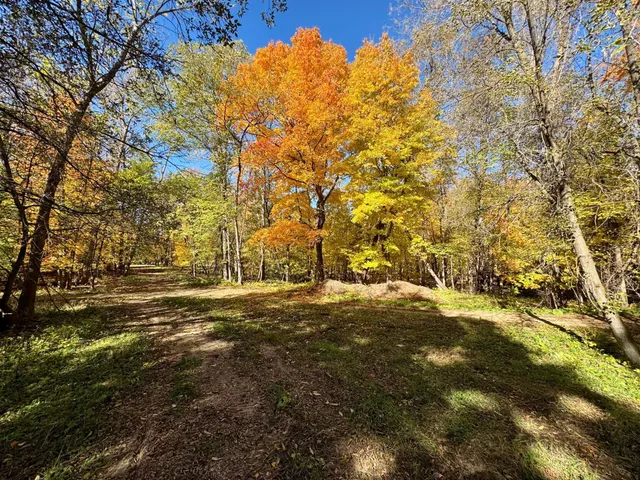 $200,000 | To Be Determined To Be Determined Selnes Road, Glenwood, MN 56334