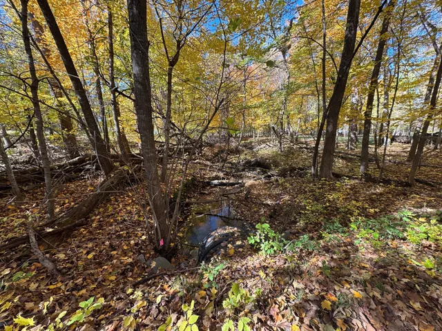 $200,000 | To Be Determined To Be Determined Selnes Road, Glenwood, MN 56334