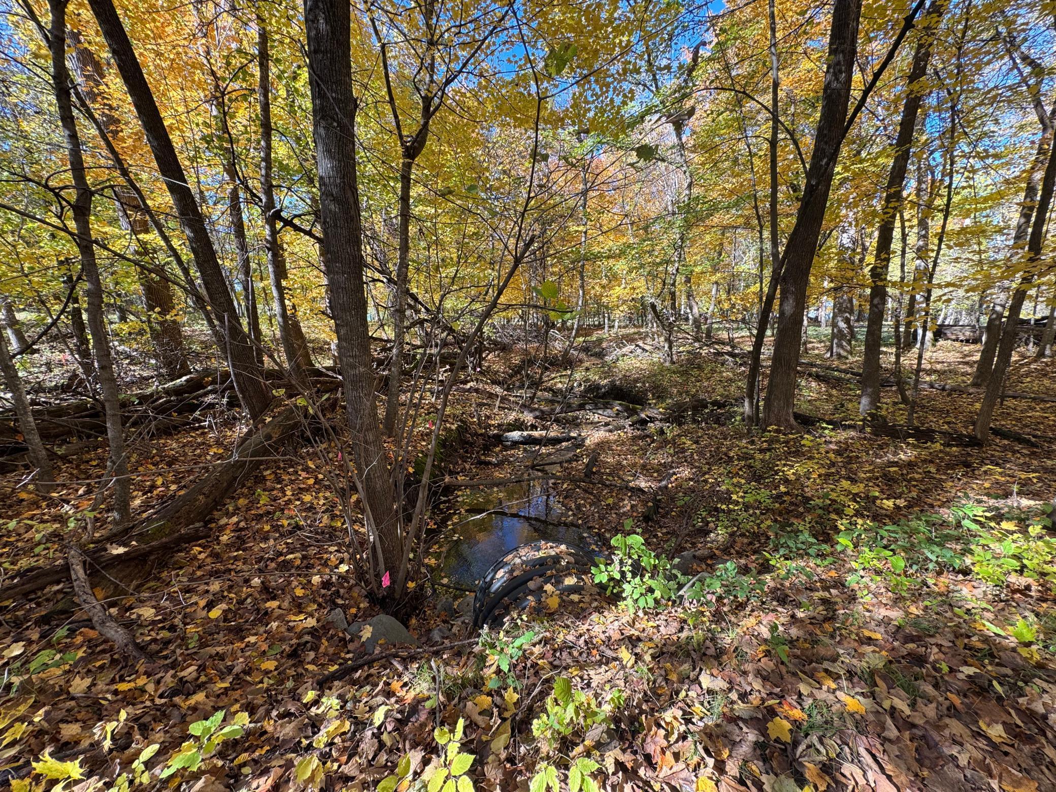 To Be Determined To Be Determined Selnes Road Glenwood, MN 56334 - Photo 12 of 18