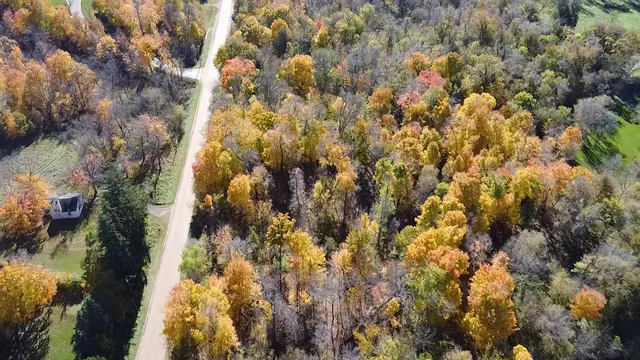 $200,000 | To Be Determined To Be Determined Selnes Road, Glenwood, MN 56334