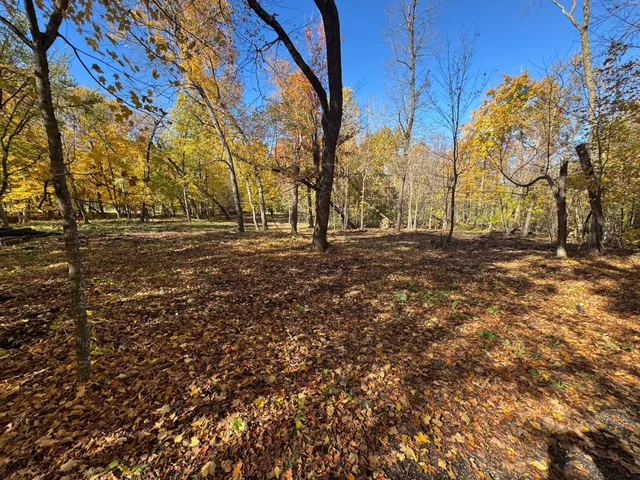 $200,000 | To Be Determined To Be Determined Selnes Road, Glenwood, MN 56334
