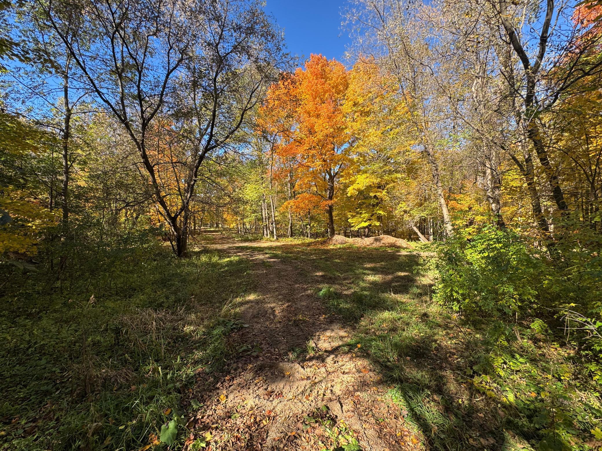 To Be Determined To Be Determined Selnes Road Glenwood, MN 56334 - Photo 6 of 18