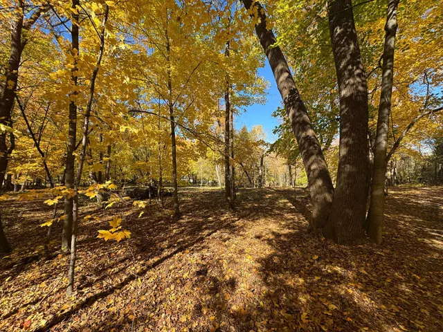 $200,000 | To Be Determined To Be Determined Selnes Road, Glenwood, MN 56334