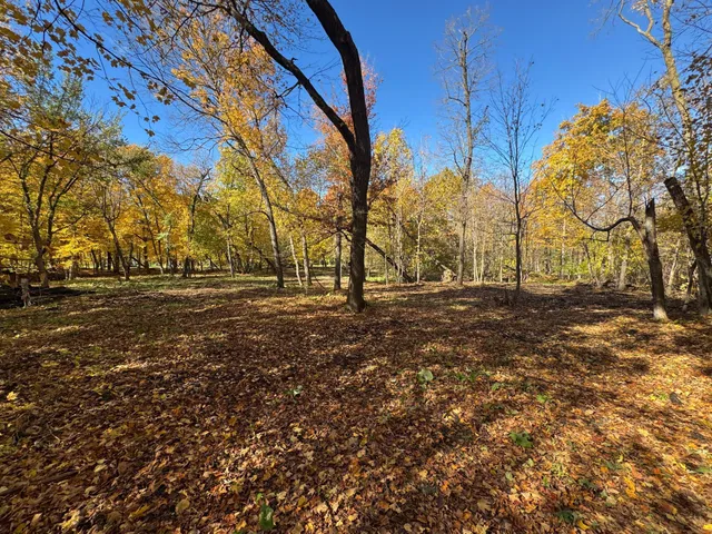 $200,000 | To Be Determined To Be Determined Selnes Road, Glenwood, MN 56334
