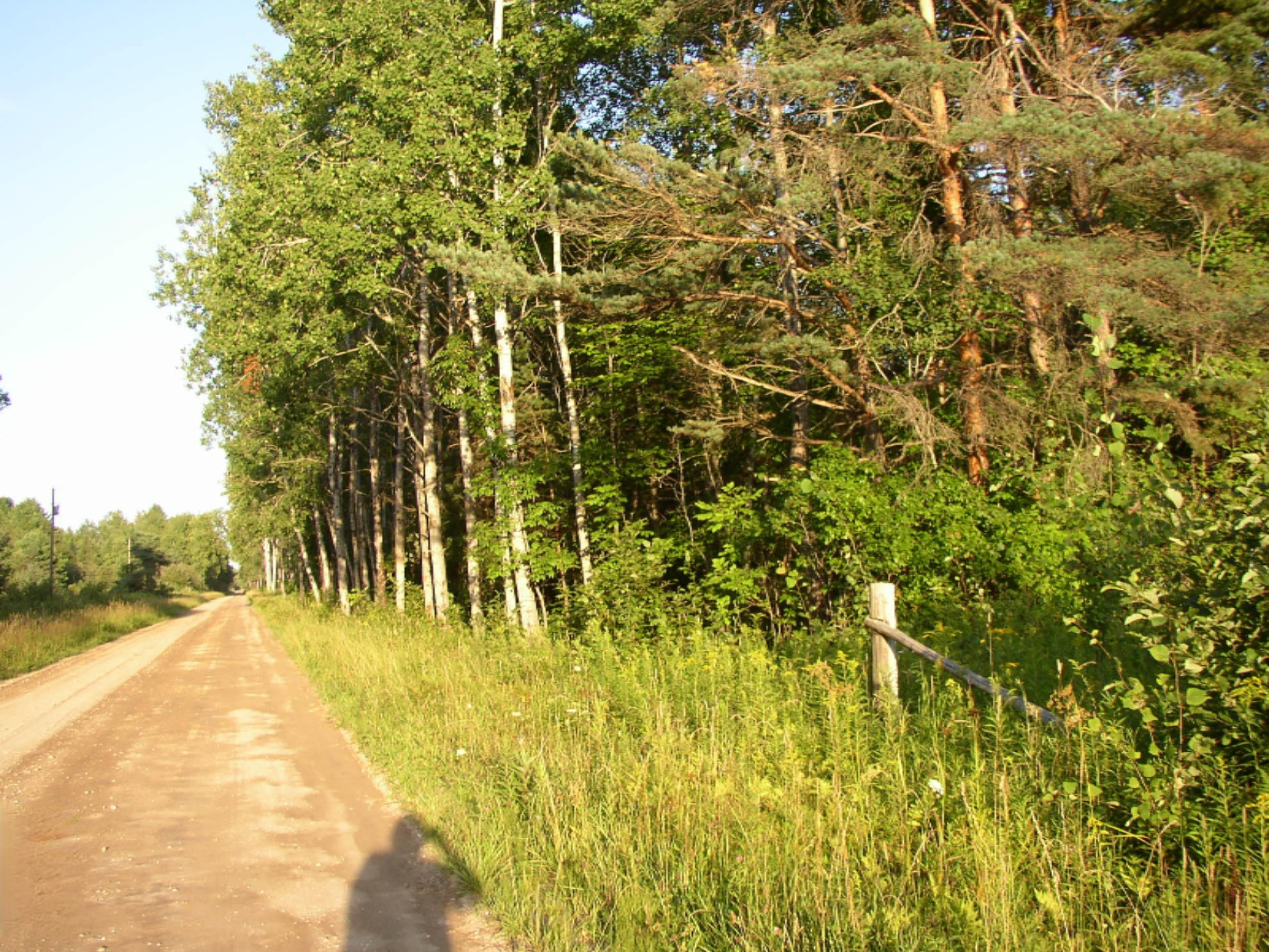 P1010023