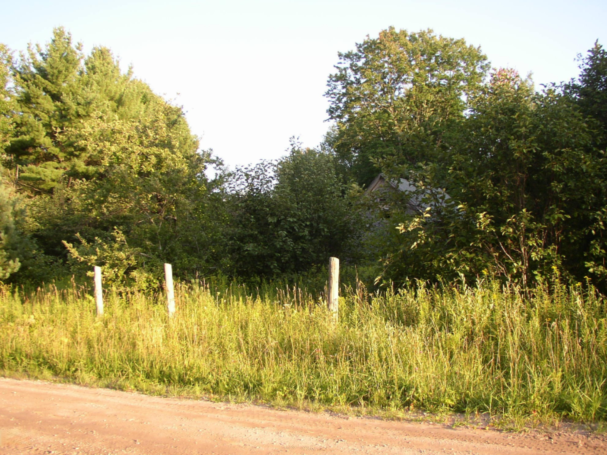 15325 Creamery Road Kaleva, MI 49645 - Photo 2 of 5 P1010024