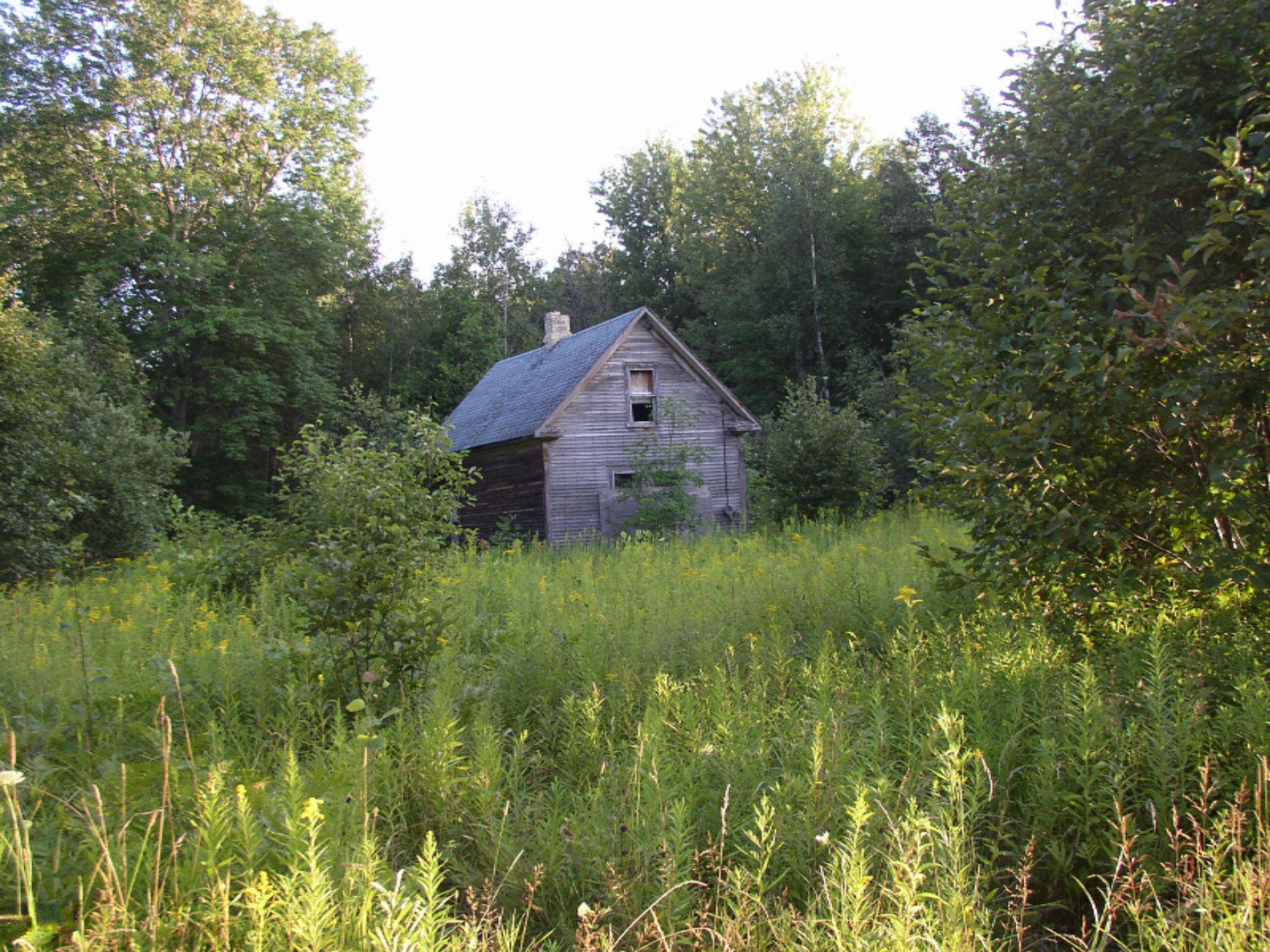 15325 Creamery Road Kaleva, MI 49645 - Photo 3 of 5 P1010022