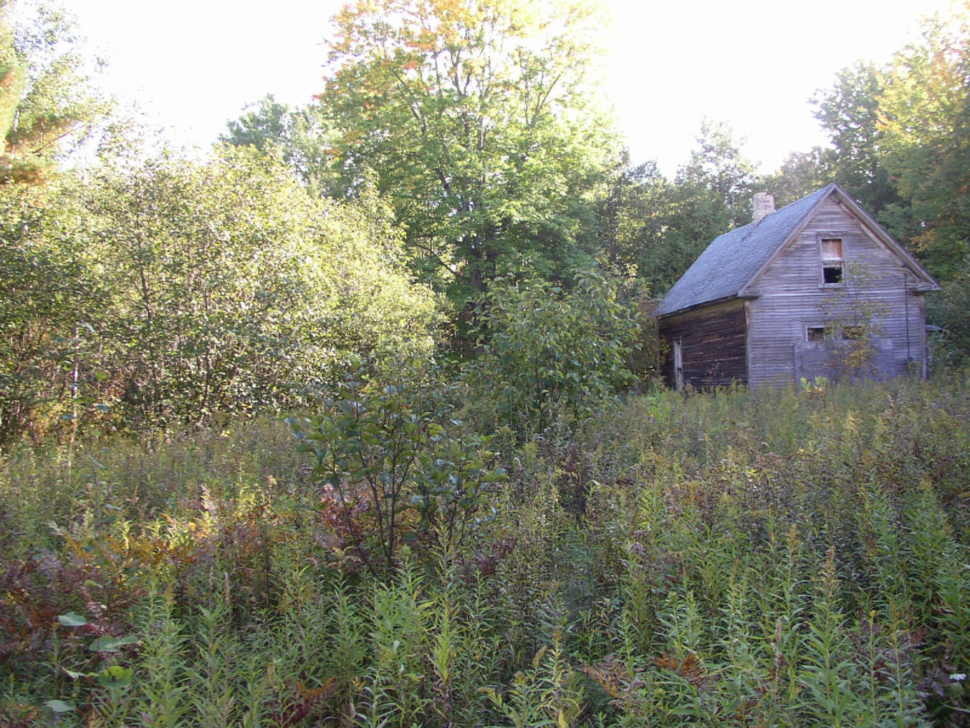 15325 Creamery Road Kaleva, MI 49645 - Photo 4 of 5 P1010025