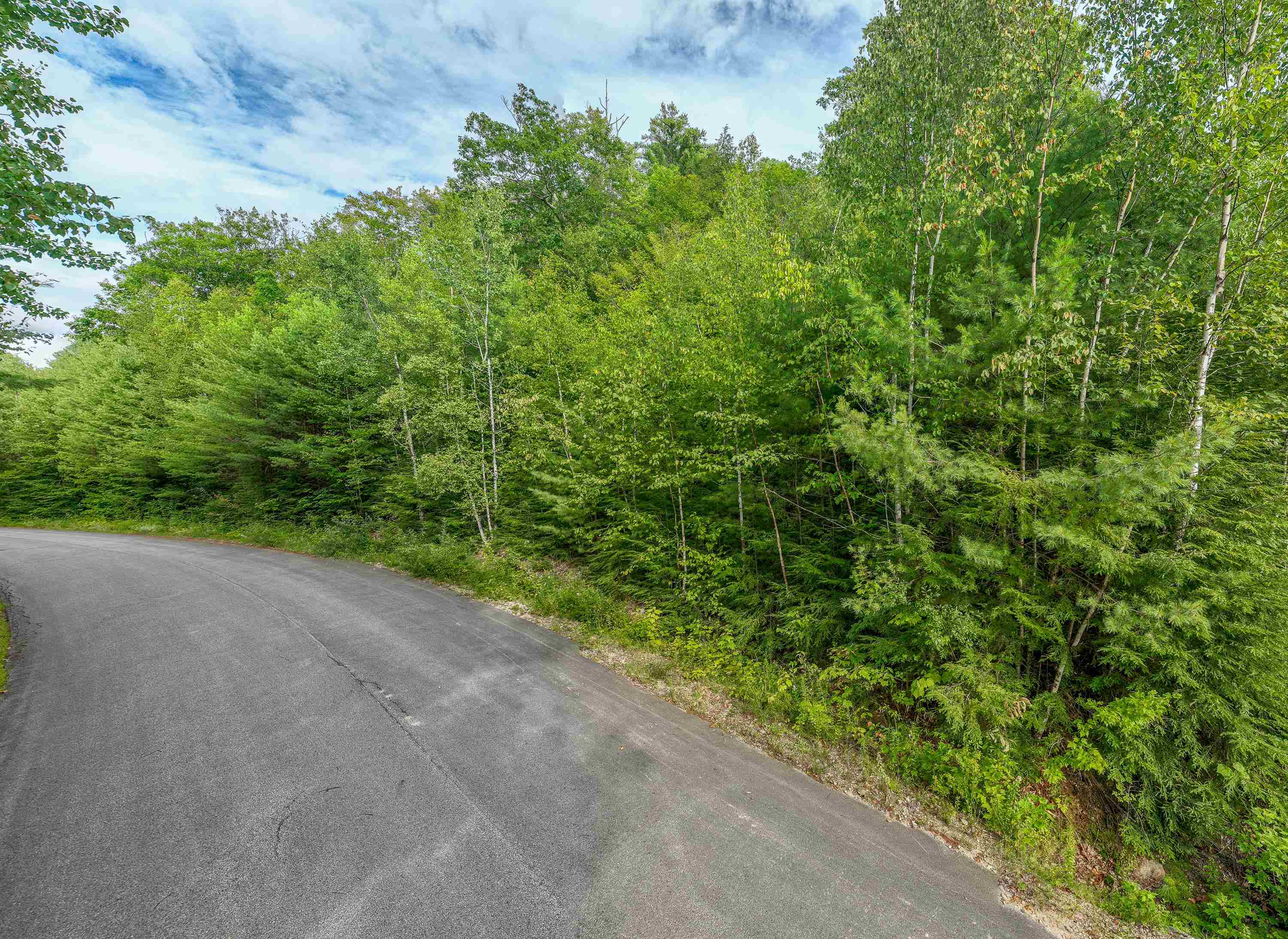 24 Merrill Road, Unit LOT #24 Campton, NH 03223 - Photo 6 of 11