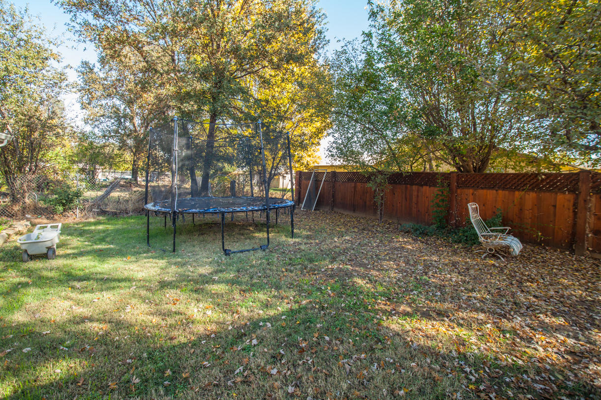 Backyard-5