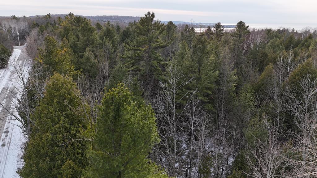 Parcel A Gibraltar Blf Road Fish Creek, WI 54212 - Photo 8 of 11