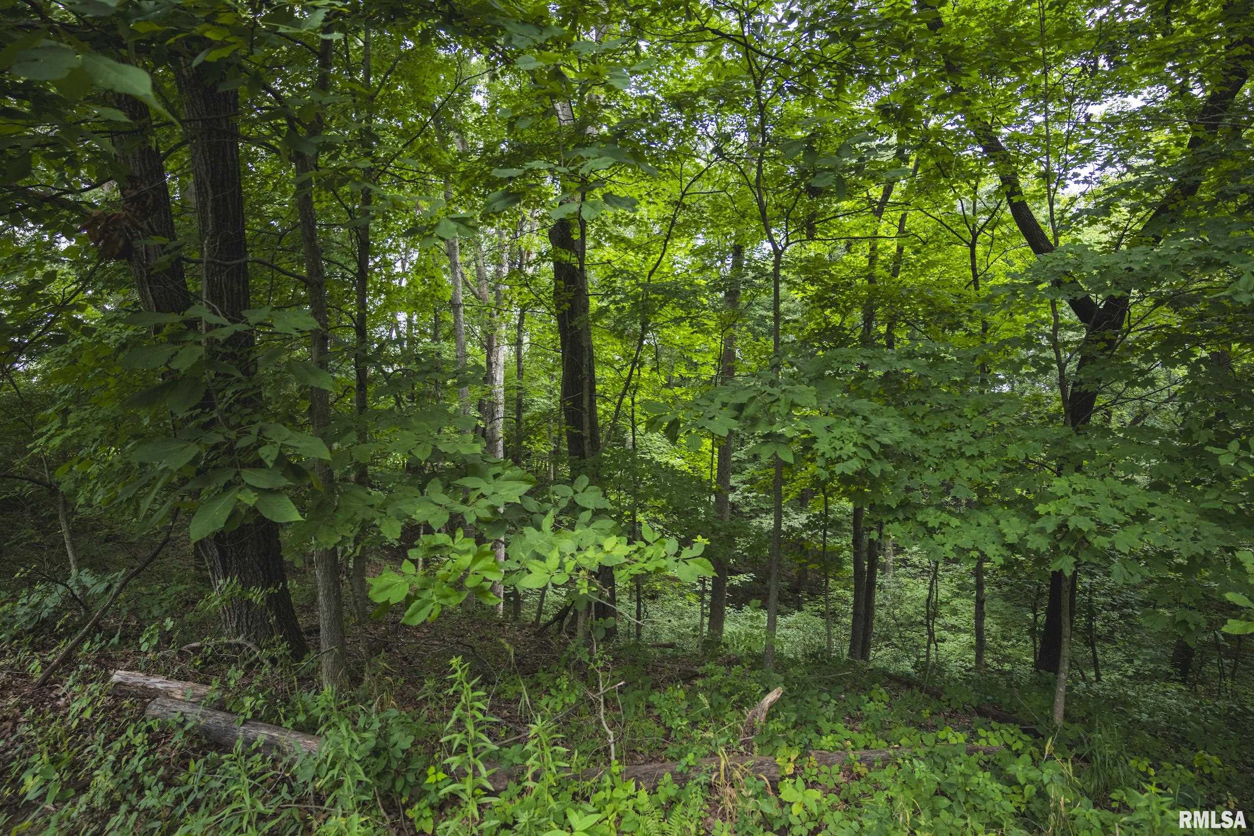 0 Kinderhook Road Rushville, IL 62681 - Photo 27 of 66