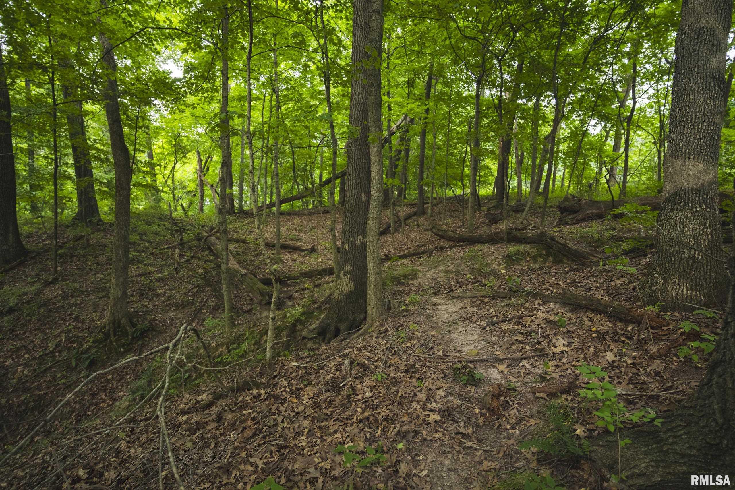 0 Kinderhook Road Rushville, IL 62681 - Photo 4 of 66
