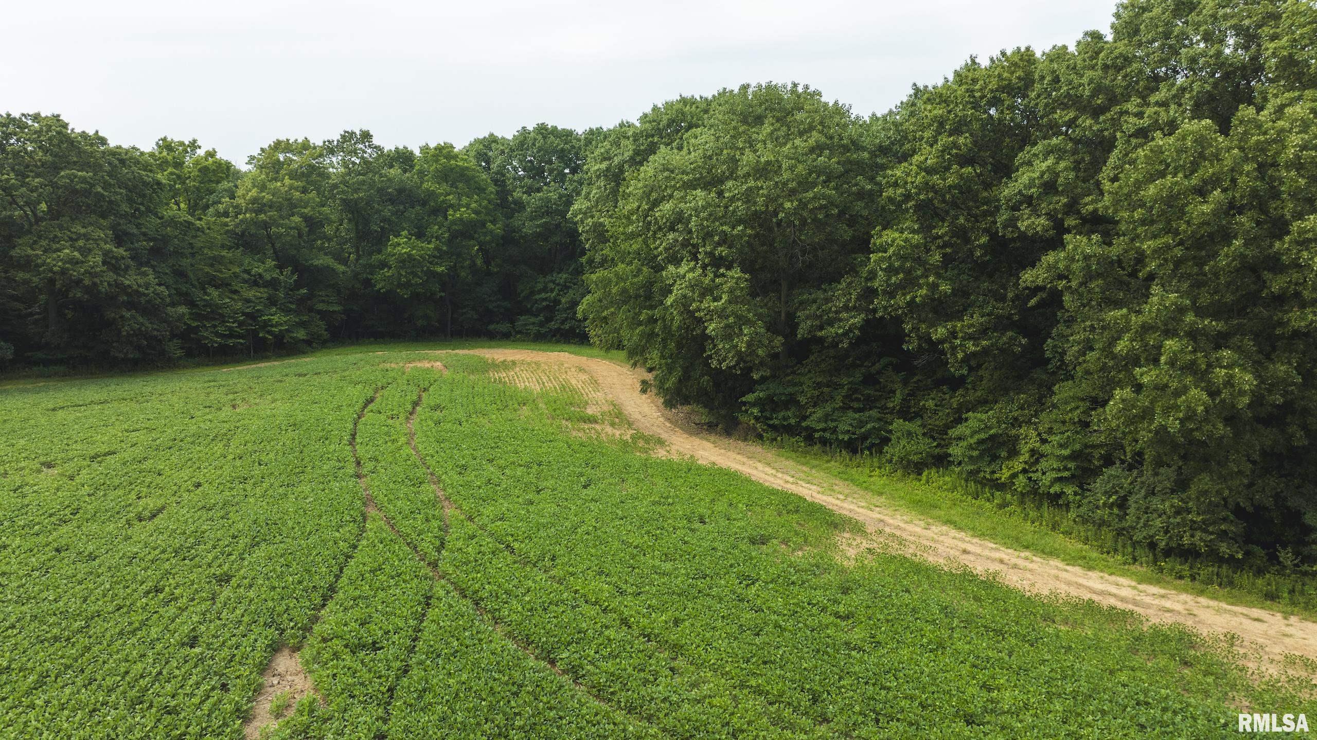 0 Kinderhook Road Rushville, IL 62681 - Photo 51 of 66