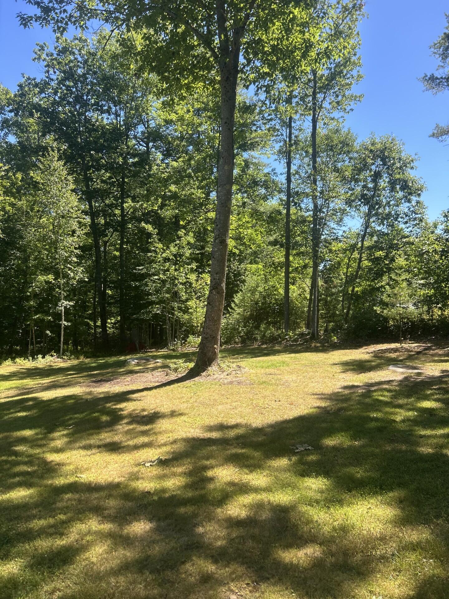 465 Fayette Road Livermore Falls, ME 04254 - Photo 35 of 35 0423 yard