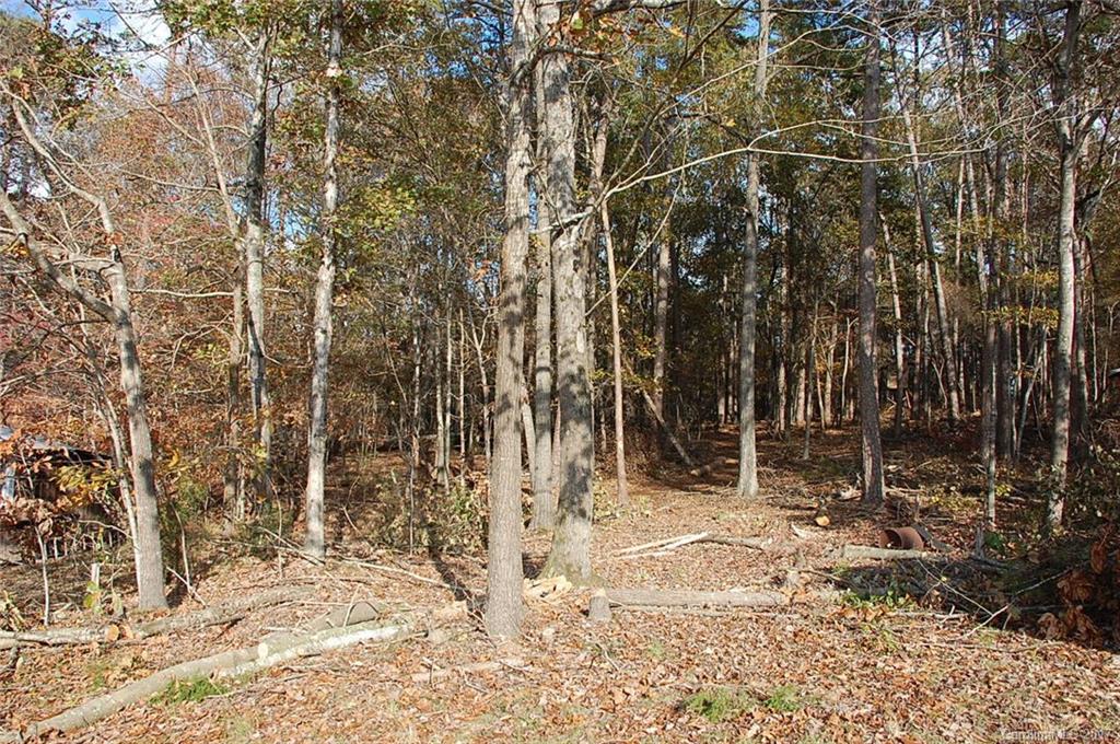 6418 Morgan Academy Road Marshville, NC 28103 - Photo 23 of 24 Gallery Image 23