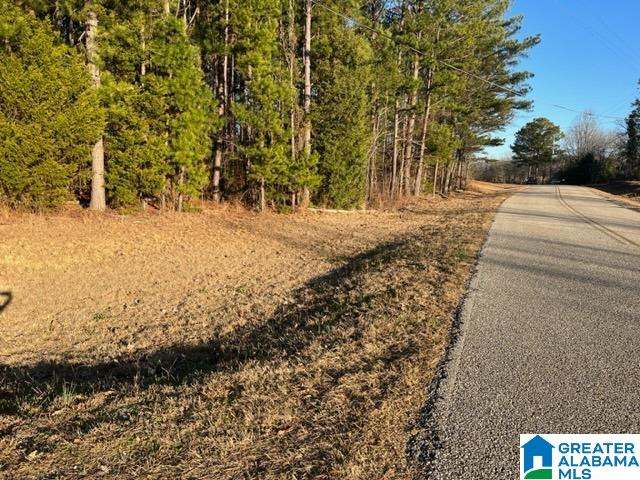 0 Arco Dairy Road Alpine, AL 35014 - Photo 7 of 9