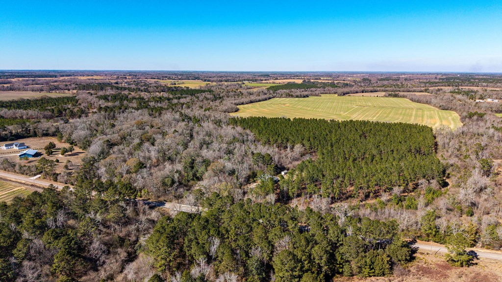 0 Bruner Pond Road Ashford, AL 36312 - Photo 11 of 30