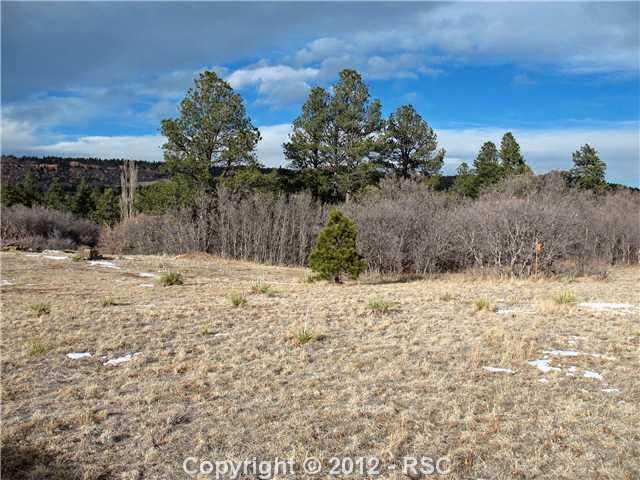 El Rancho Way Monument, CO 80132 - Photo 4 of 7