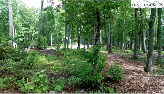 $80,000 | Lot 12 Sunset Ridge Road, Boone, NC 28607