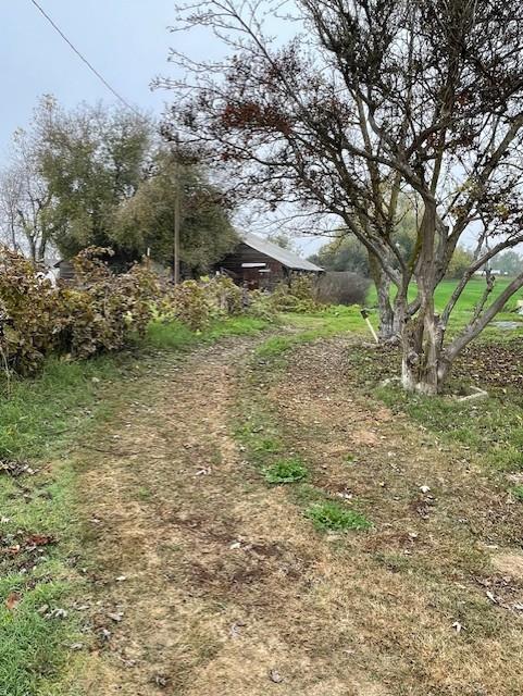 207 East Clausen Road Turlock, CA 95380 - Photo 2 of 9 a view of a tree in a yard