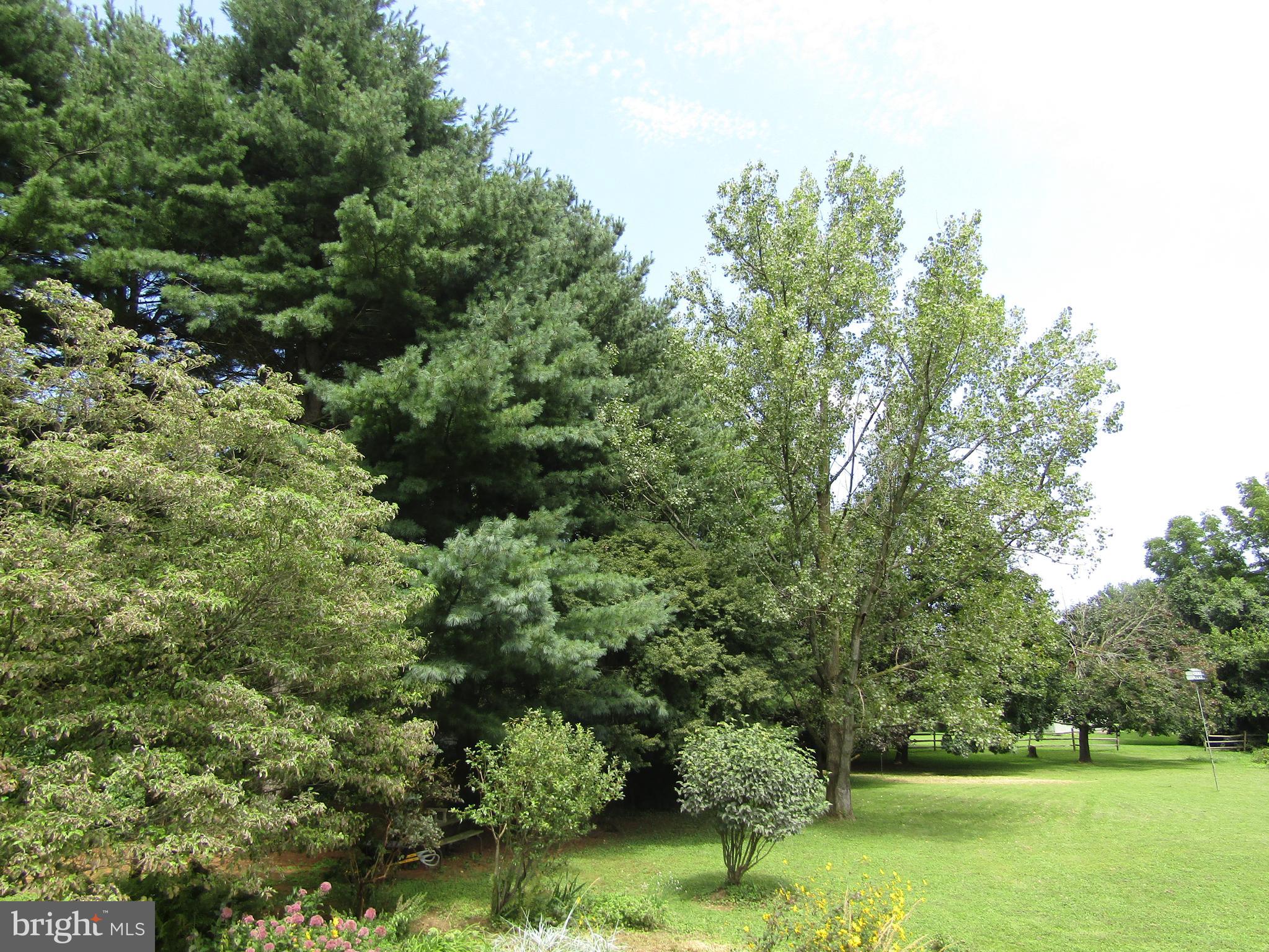 2 Reds Lane West Grove, PA 19390 - Photo 20 of 32 Myriad beautiful trees