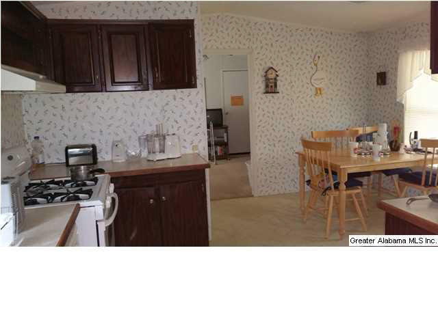 1607 Spring Road Ohatchee, AL 36271 - Photo 4 of 30