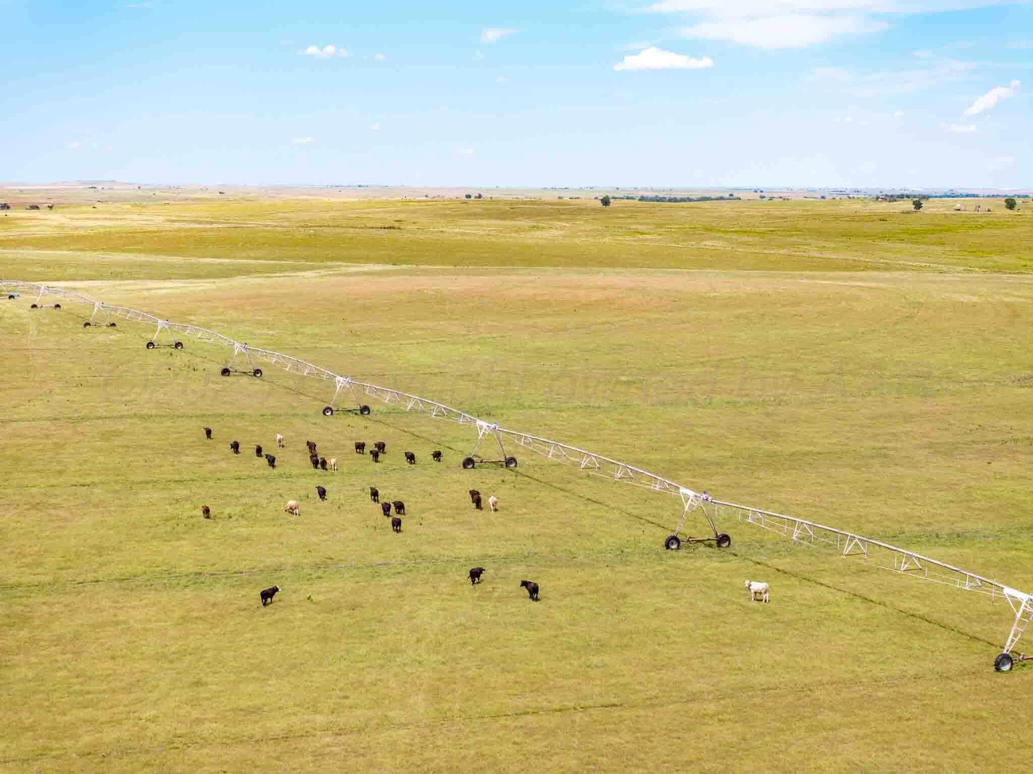 495 Ac Follett, TX 79034 - Photo 18 of 20 Bourquin_Updated_NE_Land-19